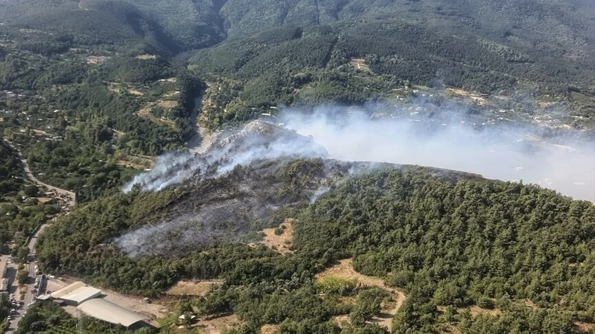 Bursada 3 nöqtədə meşə yanğını: