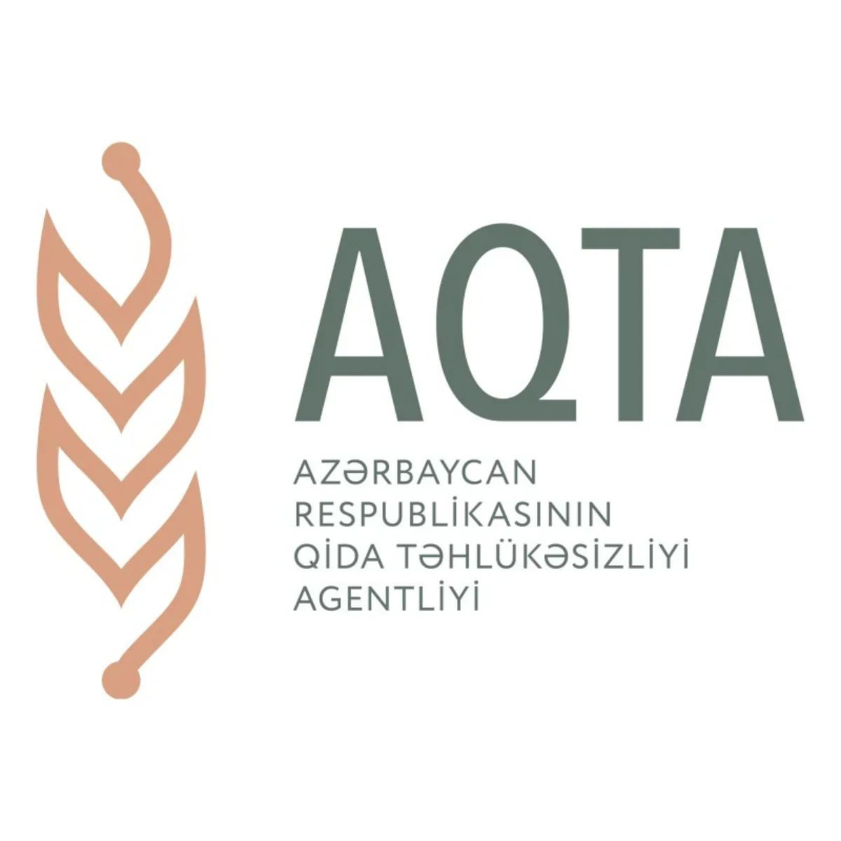 Azərbaycanda yeni sanitariya norma və qaydaları təsdiq edilib