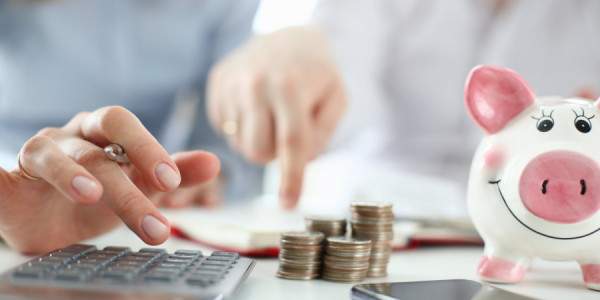 Ailə 1 dollara ev aldı