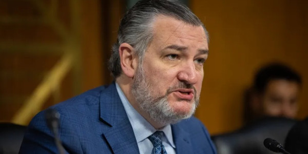Ted Cruz İrandakı etirazçıların silahlandırılmasını istəyib