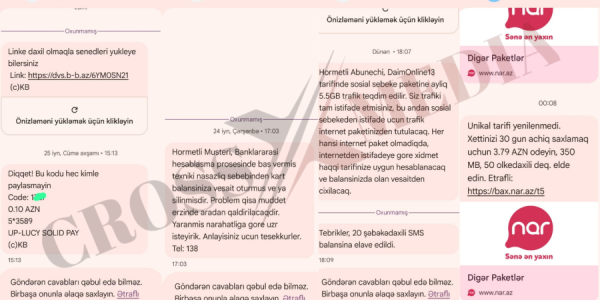 Azərbaycan dilinə belə münasibət olar? –