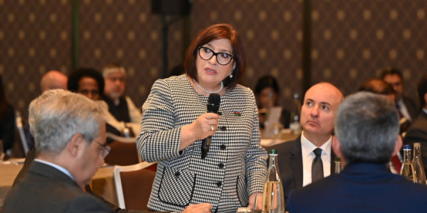 Sahibə Qafarova Cenevrədə yerləşən diplomatik korpus rəhbərləri və nümayəndələri ilə görüşdə çıxış edib