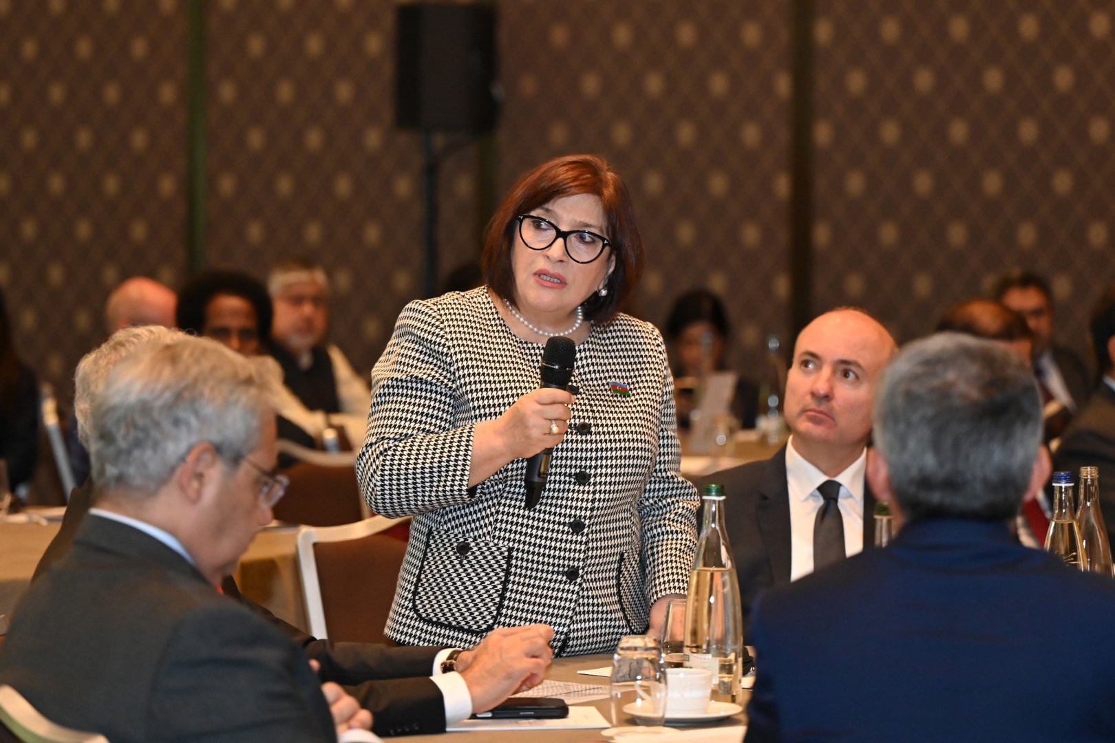 Sahibə Qafarova Cenevrədə yerləşən diplomatik korpus rəhbərləri və nümayəndələri ilə görüşdə çıxış edib