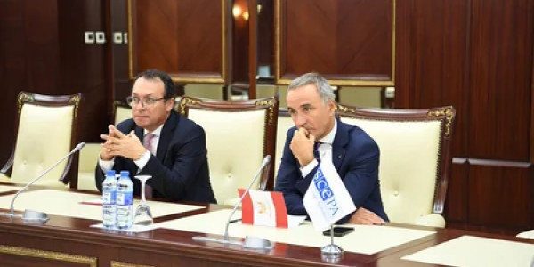 ATƏT PA-nın prezidenti Cənubi Qafqazda sülh quruculuğunu yüksək qiymətləndirib