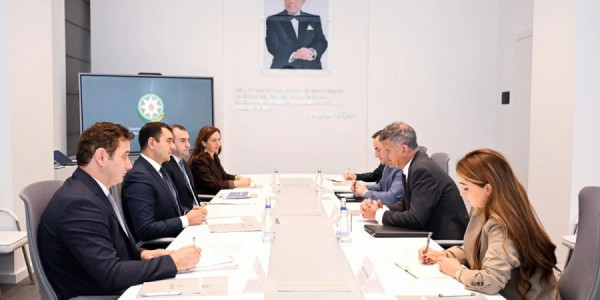 Azərbaycan ilə BP şirkəti arasında mədəni əməkdaşlıq məsələləri müzakirə olunub