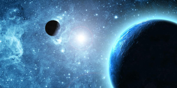 Kosmosda 10 gün sağ qalan canlılar müəyyən edilib