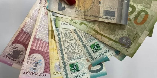Alimlərin tədqiqat işi üçün bu qədər pul ayrıldı