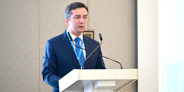 Yalçın Rəfiyev: Azərbaycan COP29 zamanı şəffaflığın siyasi səviyyədə əhəmiyyətinin artırılması istiqamətində aktiv fəaliyyət göstərib