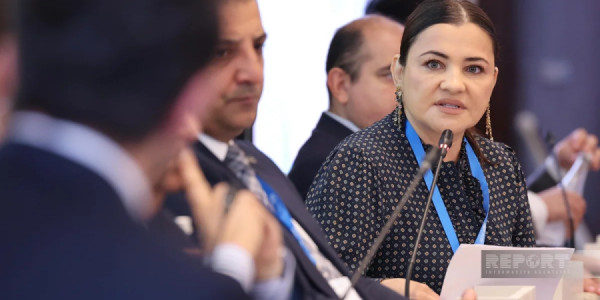 Səidə Səfərova: Xəzər dənizinin qorunması üçün elmi tədqiqatlar genişləndirilməlidir