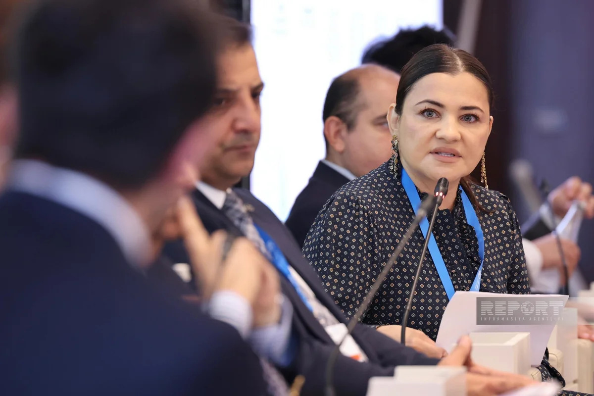Səidə Səfərova: Xəzər dənizinin qorunması üçün elmi tədqiqatlar genişləndirilməlidir