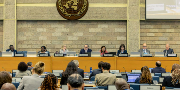 Azərbaycanın sədrliyi ilə UNEP Daimi Nümayəndələr Komitəsinin 13-cü illik altkomitə iclası başlayıb