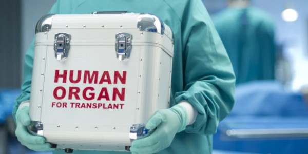 Bakıdakı tibb müəssisələrinin birində kök hüceyrələrin transplantasiyası həyata keçiriləcək - QƏRAR