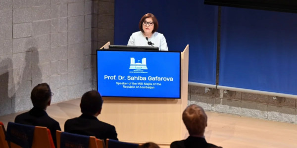 Sahibə Qafarova: Azərbaycan innovasiyaların təşviqi istiqamətində ardıcıl tədbirlər həyata keçirir