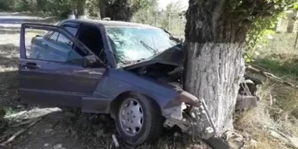 Qaxda avtomobil ağaca çırpıldı