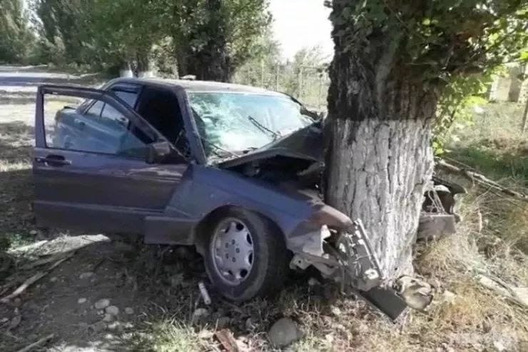 Qaxda avtomobil ağaca çırpıldı