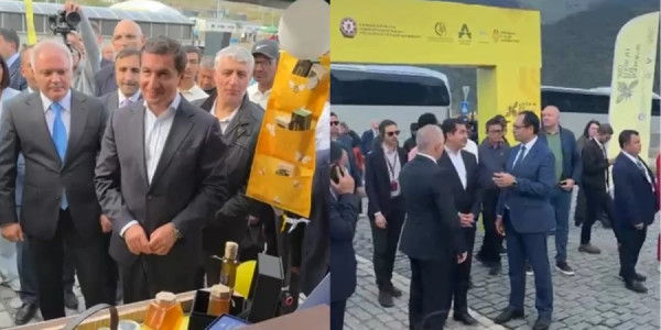 Kəlbəcərdə Bal Festivalı keçirilib