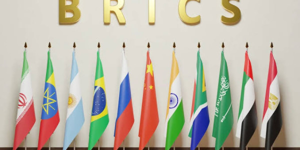 BRICS ölkələri Yeni Dehli Bəyannaməsini qəbul edib