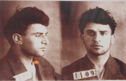 Mikayıl Müşfiqin varisi