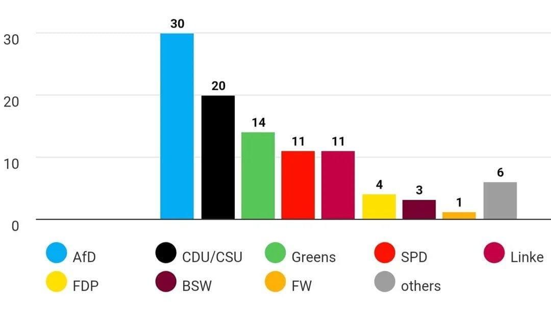 Almaniyada AfD ilk dəfə 30 faizlik dəstəyə çatıb