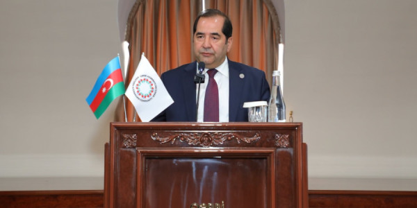 Qarabağ reallığı Ermənistanın revanist dairələrini narahat edir