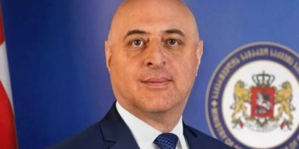 Gürcüstan Azərbaycana yeni səfir təyin edib