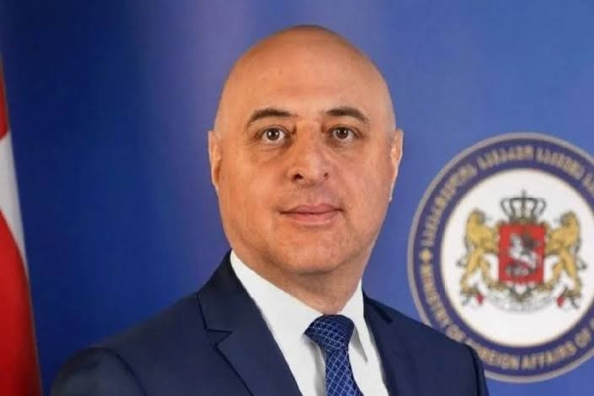Gürcüstan Azərbaycana yeni səfir təyin edib