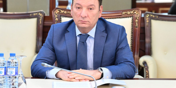 Azərbaycanda sahilyanı sağlamlıq və müalicə yerləri ilə bağlı model qanun layihəsi hazırlanıb