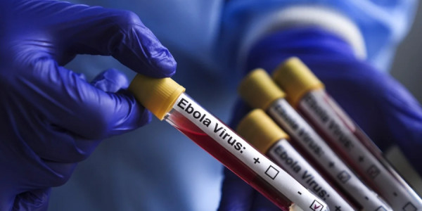 Konqoda Ebola epidemiyası yayılmaqda davam edir