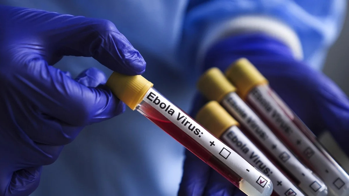 Konqoda Ebola epidemiyası yayılmaqda davam edir