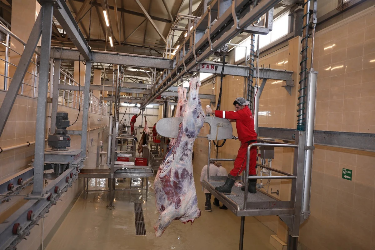 AQTA: 33 rayon və şəhərdə müasir heyvan kəsimi məntəqələri qurulmalıdır
