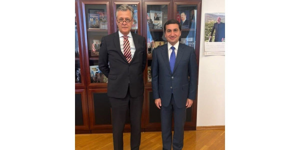 Hikmət Hacıyev Almaniya səfiri ilə görüşüb