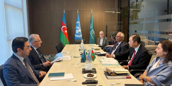 Azərbaycan ilə AİB arasında iqlim fəaliyyəti sahəsində tərəfdaşlığın gücləndirilməsi müzakirə edilib