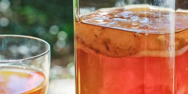 Kombucha həqiqətən sağlamlıq üçün faydalıdırmı?