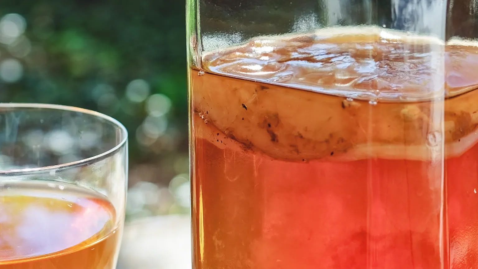 Kombucha həqiqətən sağlamlıq üçün faydalıdırmı?