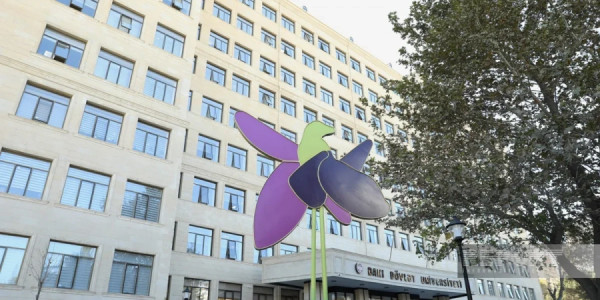 Bakı Dövlət Universitetində 3 gün dərslər onlayn keçiriləcək