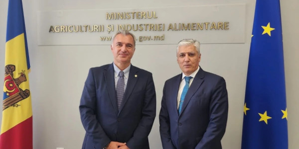 Azərbaycan ilə Moldova arasında əməkdaşlıq müzakirə edilib