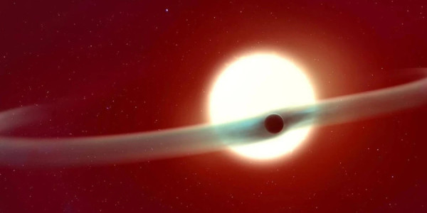 Astronomları təəccübləndirən planet öz ulduzunun əksinə hərəkət edir