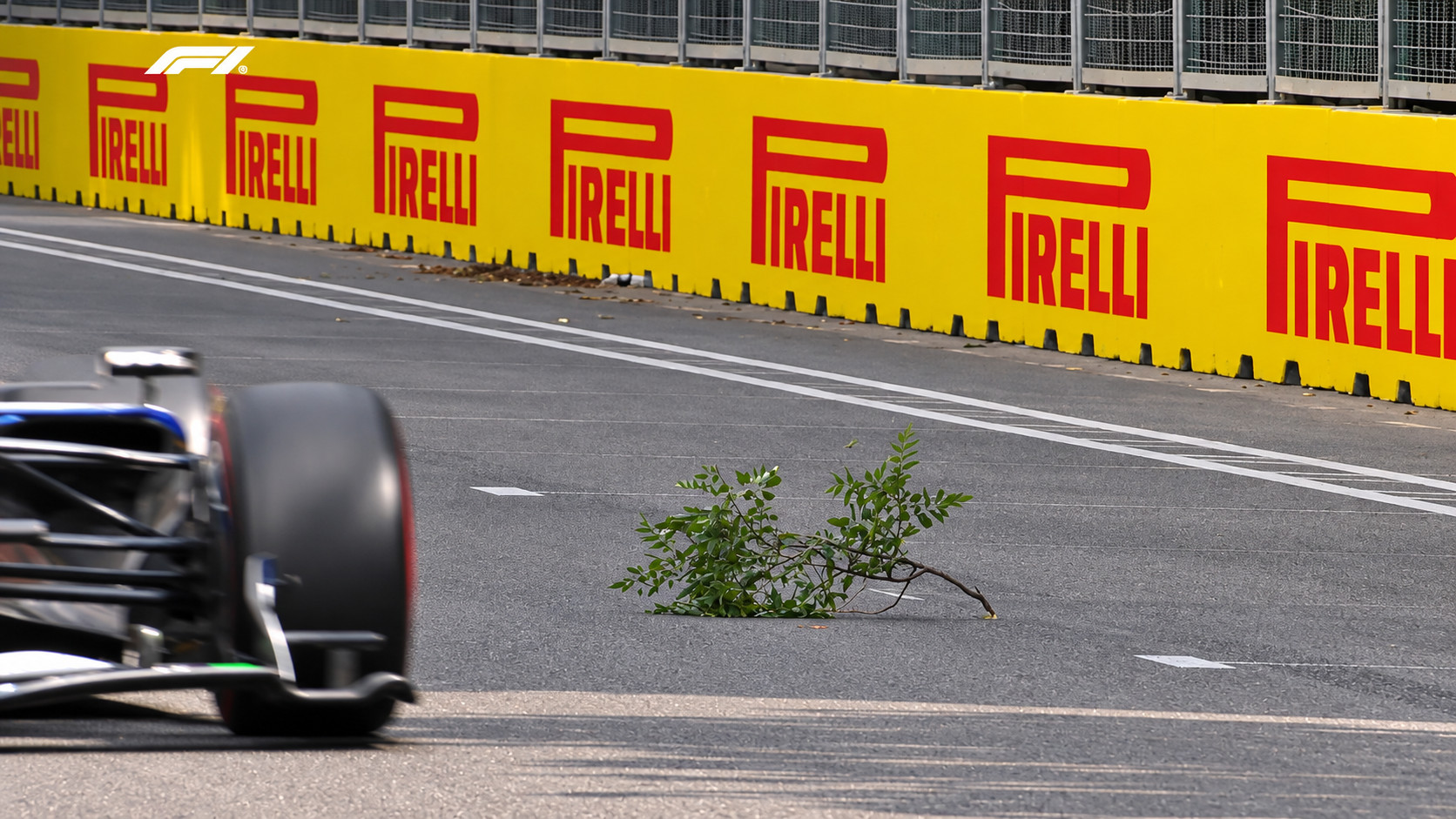 "Formula 1": Bakıdakı yarışda trasa ağac budağı düşüb