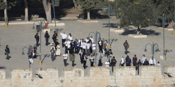 Mescid-i Aksaya 1143 israilli daxil olub