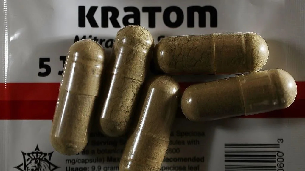 Ağrını azaldır, amma riski artırır? Kratom barədə ekspertlərdən