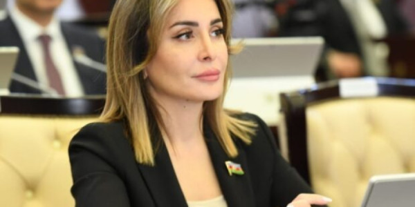 Azərbaycanın enerji siyasətində yaşıl dönüş: yeni investisiyalar və ixrac imkanları