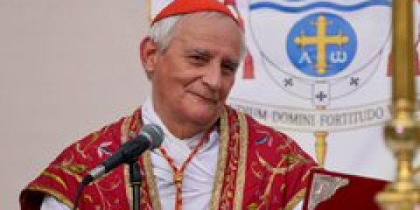 Papa nümayəndəsi Moskvaya səfər edib