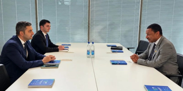 Azərbaycanda "yaşıl investisiya" risklərinin sığortalanması müzakirə edilib