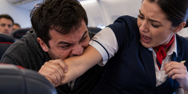 Təyyarədə sərnişin stüardessanı