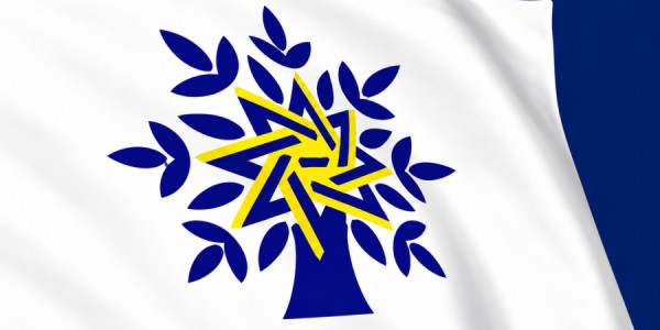 YAP Təftiş Komissiyasının yeni tərkibi -