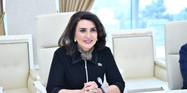 Deputat: Azərbaycanın geosiyasi və təhlükəsizlik faktoruna çevrilməsinin əsas amilləri