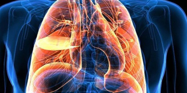 Ağciyərləri necə qorumaq olar? – Səhiyyə Nazirliyinin pulmonoloqundan vacib tövsiyələr