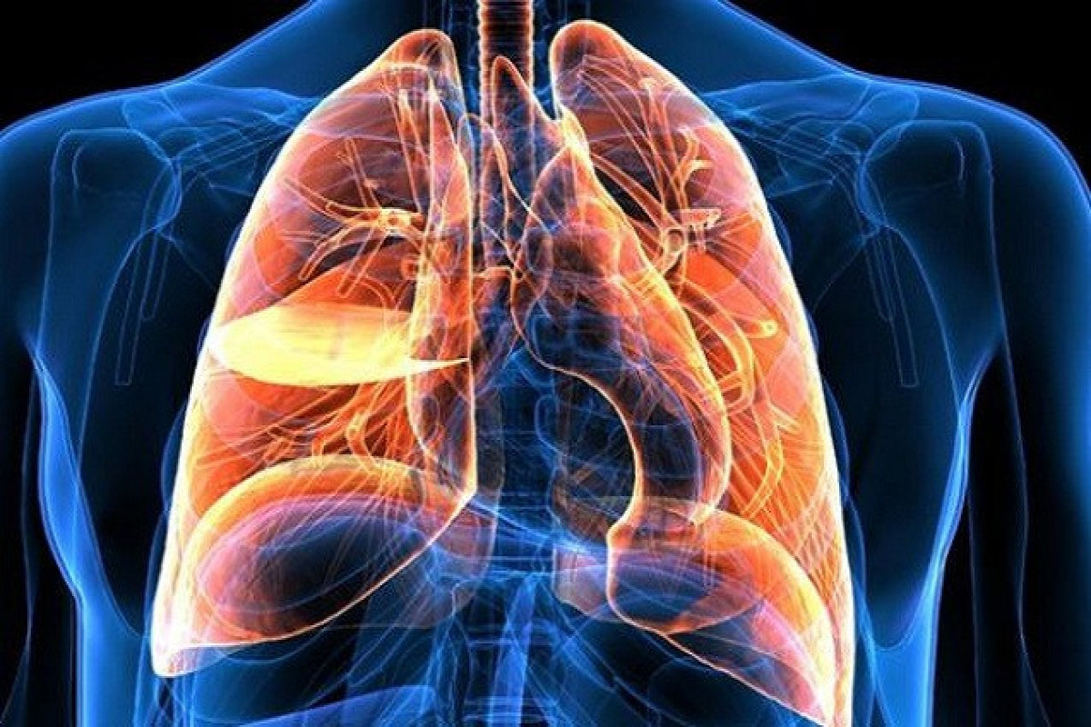 Ağciyərləri necə qorumaq olar? – Pulmonoloqdan vacib tövsiyələr