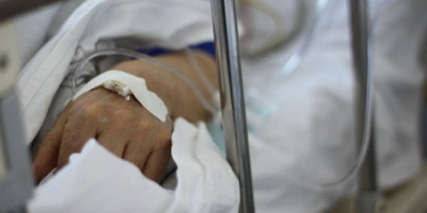 Sibirdə taun: Rəsmi qurumlar epidemiyanı təkzib etdi