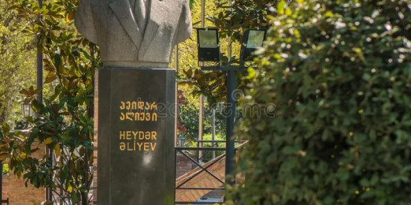 Heydər Əliyevin büstünü zədələmiş şəxs